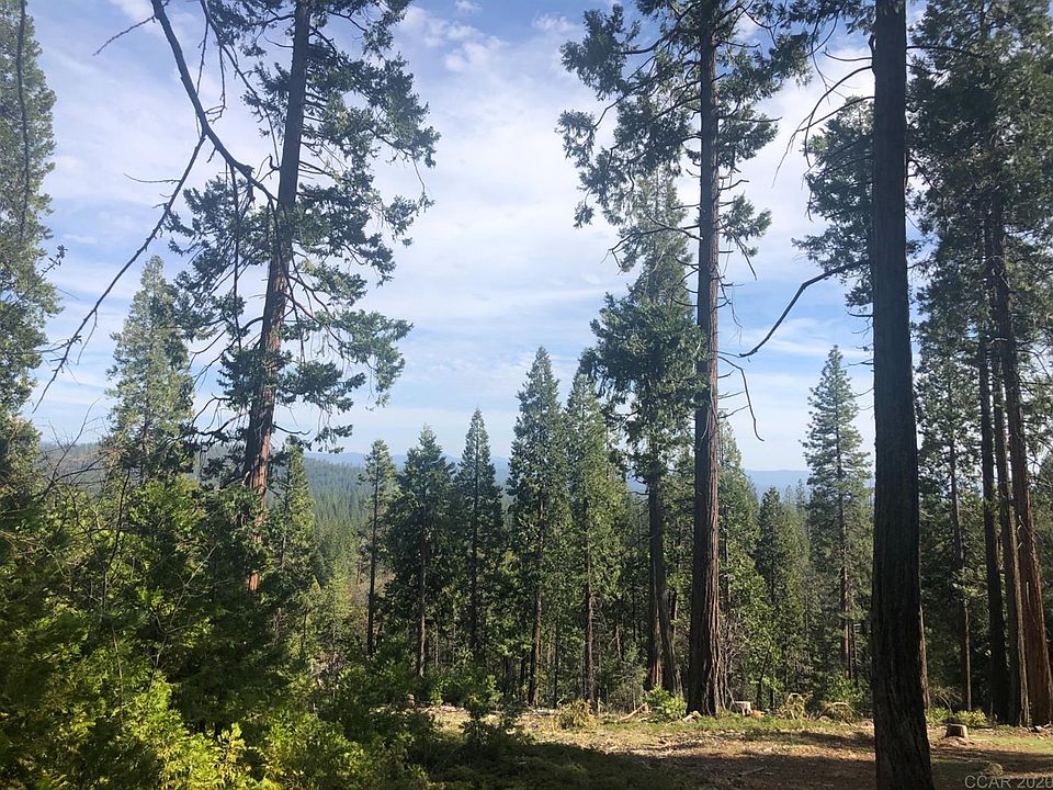 1st image of 3071 Forest Ln #134