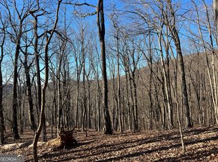 0 Sassafras Ct #4546, Jasper, GA 30143