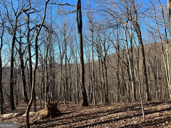 0 Sassafras Ct #4546, Jasper, GA 30143