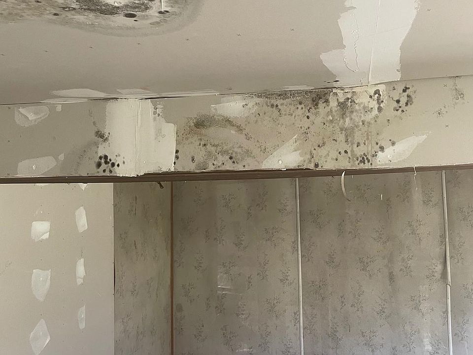 545 Beagle Club Rd, Felton, DE 19943 Zillow