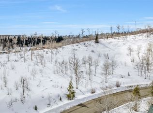 57615 Longfellow Way, Clark, CO 80428