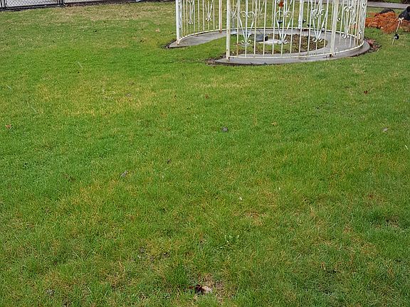 Detached 2 car garage 