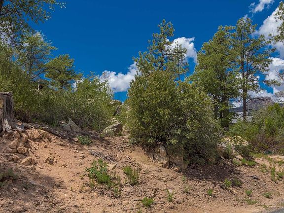 3rd image of 1723 Conifer Ridge Ln