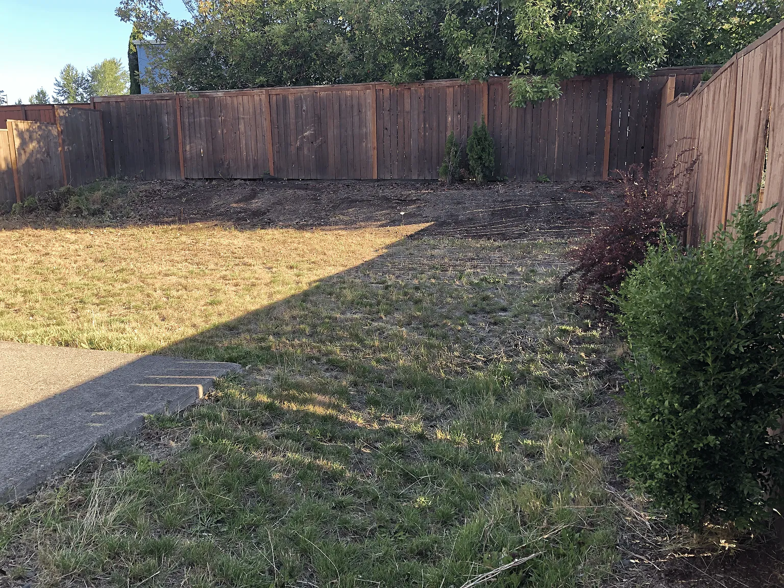 5 bed, 3299 sqft, $3,695 — Photo 4