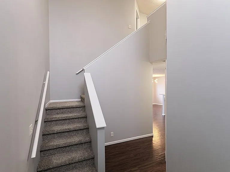 8805 Venice Ln — Photo 15
