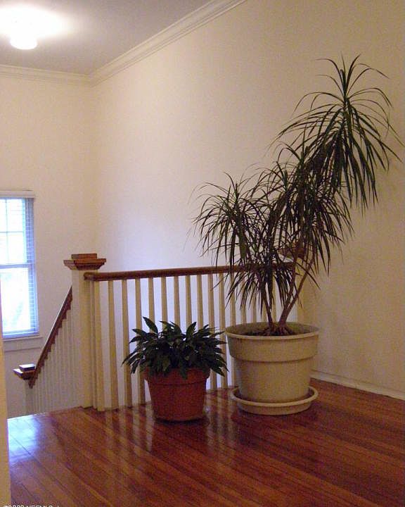 2nd image of 1520 Copeland St APT 10