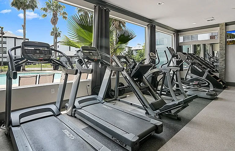 The Palms at Clear Lake Apartments — Photo 14