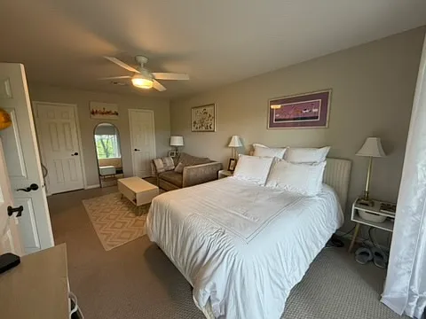 Downstairs bedroom