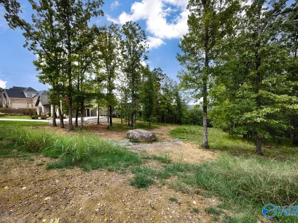49 Watson Grande Way SE, Owens Cross Roads, AL 35763