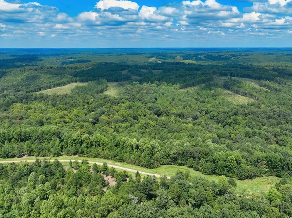 0 Freedom Rdg Lot 40, Indian Mound, TN 37079