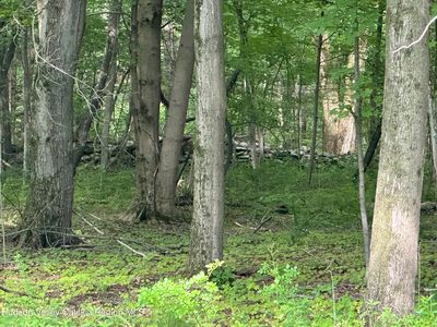 251 Fosler Road, Plattekill, NY, 12528