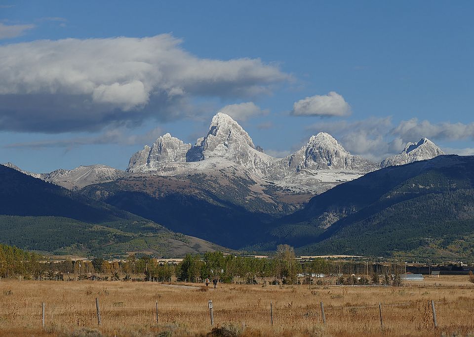 2nd image of 3942 Saddle Bluff Trl