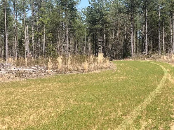 205 Rocky Mountain Crk, Gruetli Laager, TN 37339