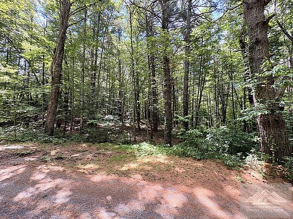 4th image of 0 Pine View Dr