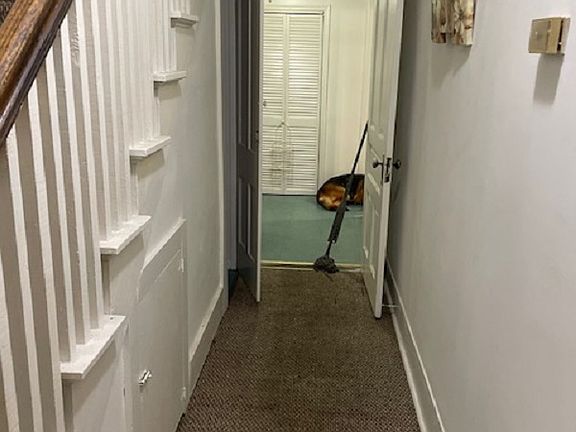 ENtry downstairs hallway