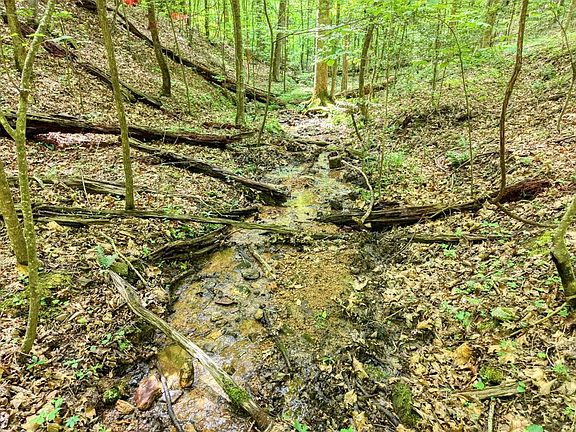 4th image of 343 Haines Mountain Rd