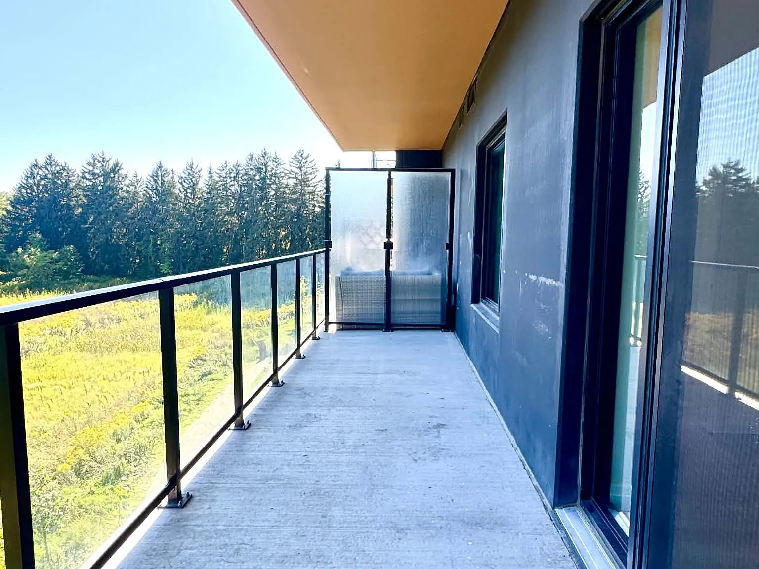 2 bed, $2,400 — Photo 3