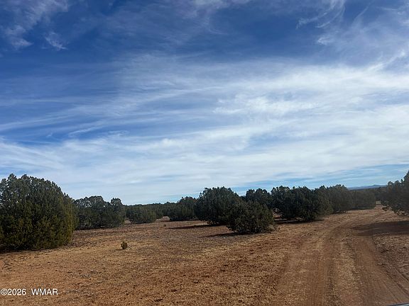 3rd image of 8526 Lake Ridge Rd