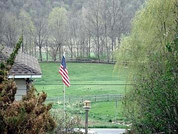 View from upper yard