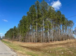 Smith County Rd #99, Bay Springs, MS 39422