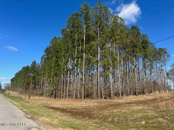 Smith County Rd #99, Bay Springs, MS 39422