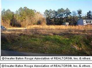 32620 Percy Young Rd, Walker, LA 70785