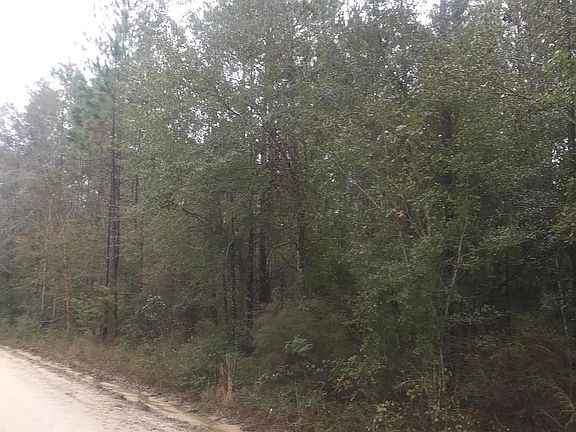 5th image of 2274 Willoughby Dr