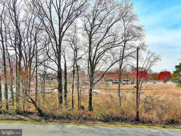 2629 Cecil Dr, Chester, MD 21619