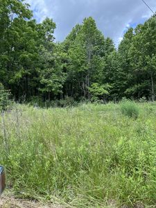 349 Fire Tower Rd, Tracy City, TN, 37387