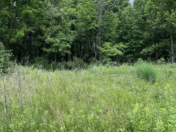 349 Fire Tower Rd, Tracy City, TN 37387