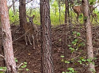 4 & 6 Waterford Ct, Granite Falls, NC 28630