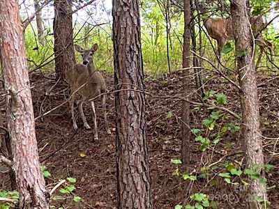 4 & 6 Waterford Ct, Granite Falls, NC, 28630