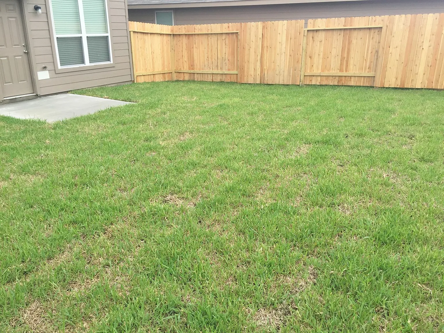 Almeda Trace — Photo 2