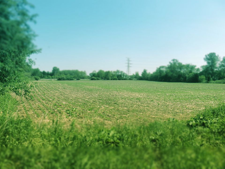 2nd image of 0 Cr #226