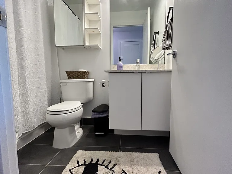 150 E Liberty St #1309 — Photo 21