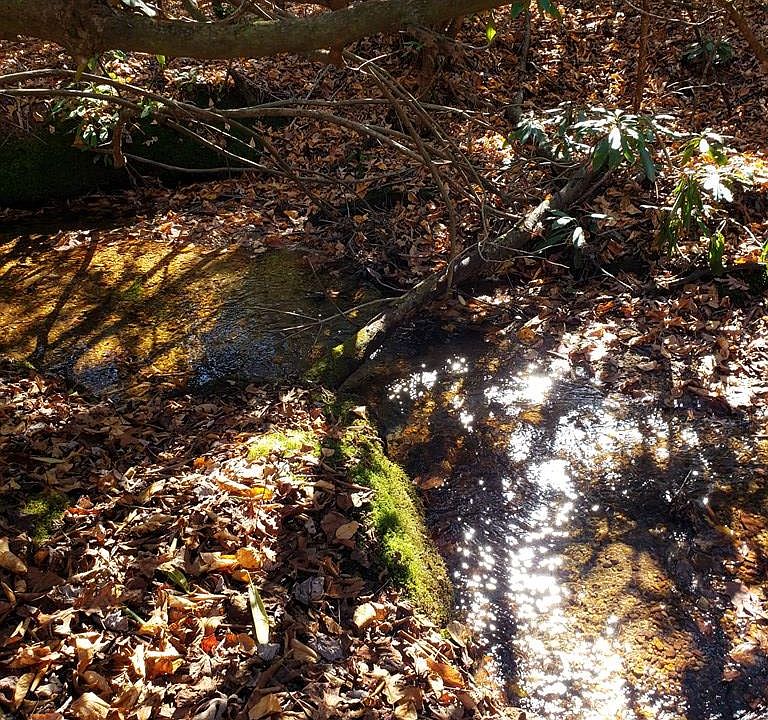 2nd image of Patton Thicket Rd