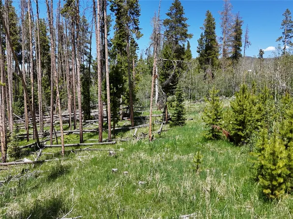 20905 Clydesdale Way, Oak Creek, CO 80467