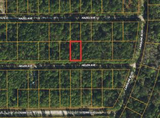 234 Helen Ave, Georgetown, FL 32139