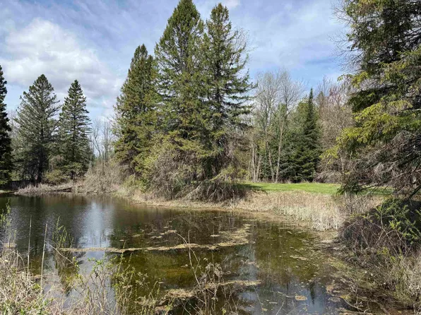 0 M 65, Turner, MI 48765