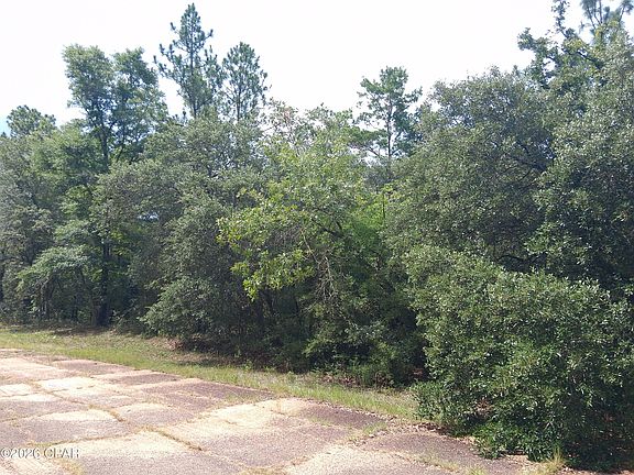 4th image of LOT 6 Wellington #1