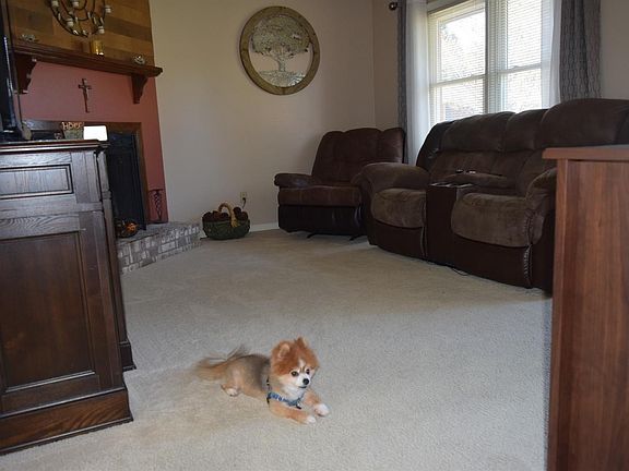 4th image of 3812 Wedgewood Ct