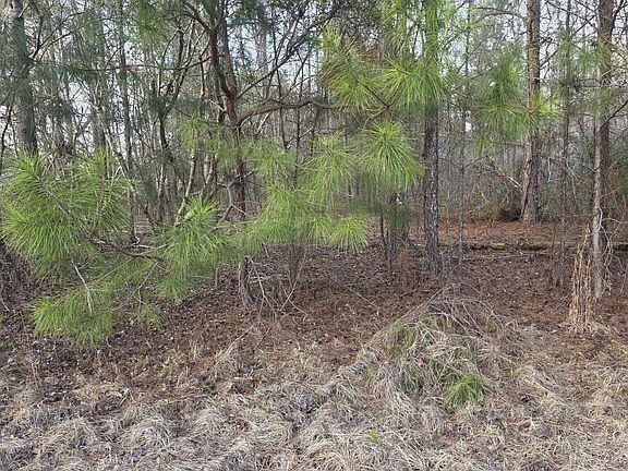5th image of 0 Perkins Green Fork Rd