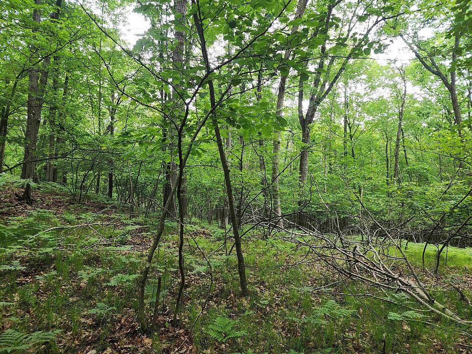 1st image of LOT 826 Hemlock Ln