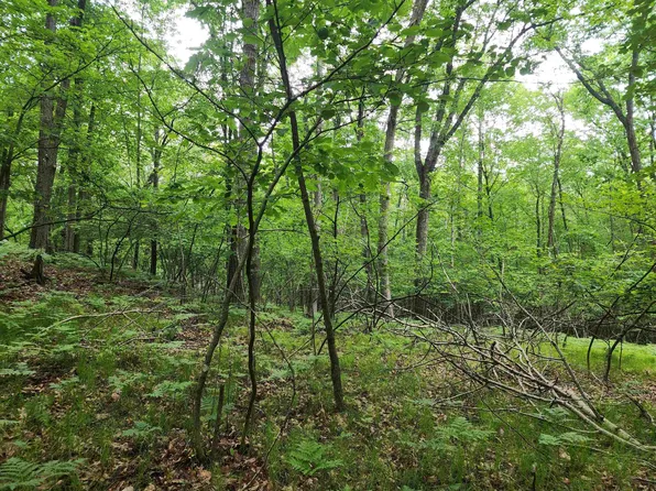 LOT 826 Hemlock Ln, Farwell, MI 48622