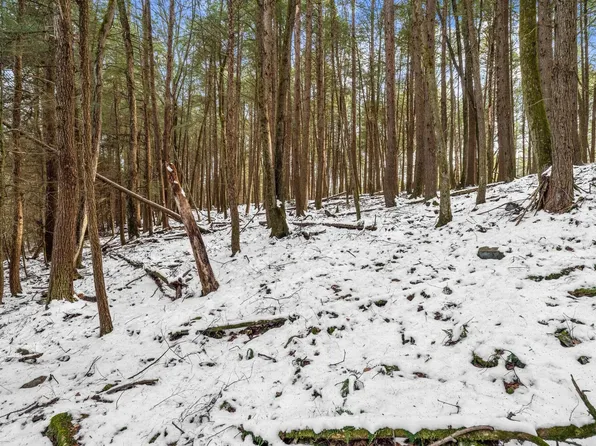 0 Frenchville Rd, Frenchville, PA 16836