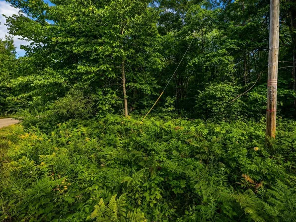 Timberline Dr, Elmira, MI 49730