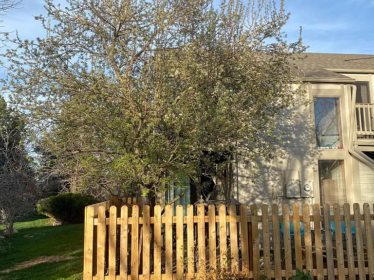 1001 E Moorhead Cir — Photo 12