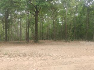 2505 Rabbit Ct, Middleburg, FL 32068