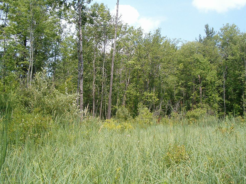 1st image of Hardin Road