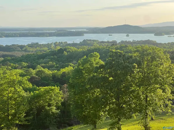 LOT 21 County Road 1015, Cedar Bluff, AL 35959